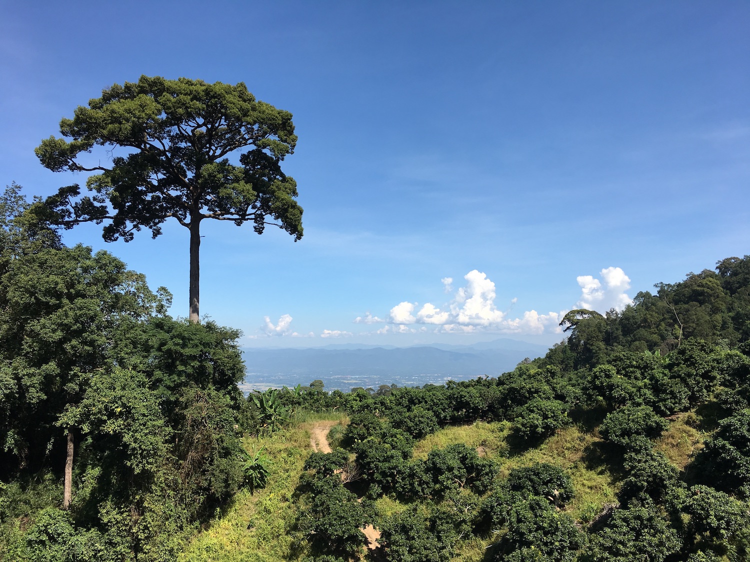 Fotka z vršku Doi Suthep